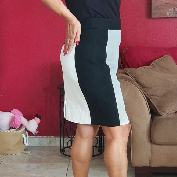 Skirt - Picture 4 of 4